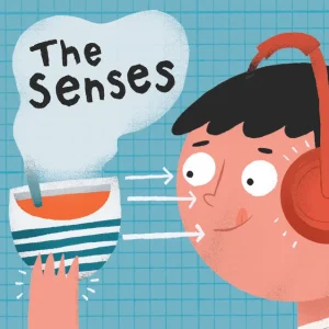 Yoto The Human Body: The Senses Cream
