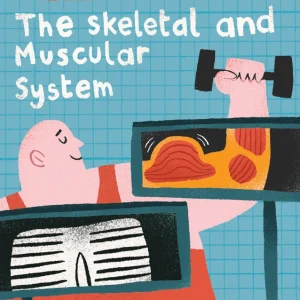 Yoto The Human Body: The Skeletal and Muscular Systems Card